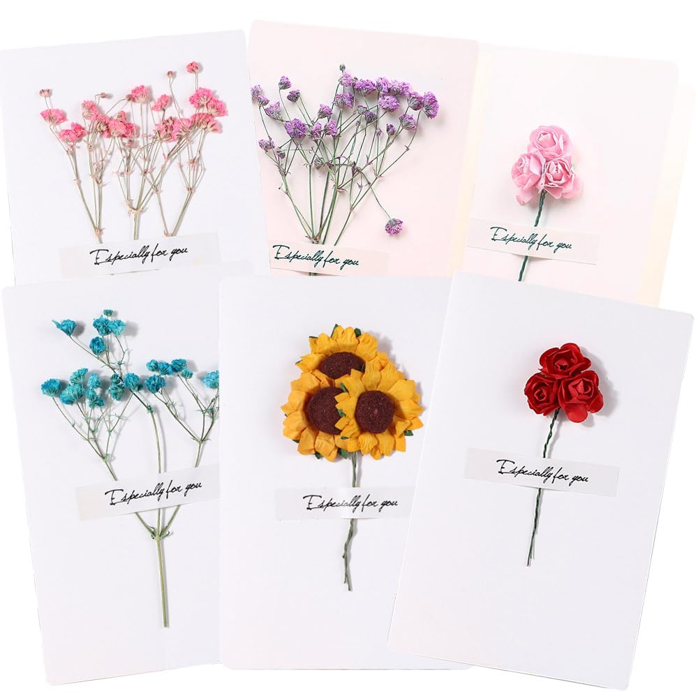 Amazon | moin moin メッセージ カード 6種セット / グリーディング 14