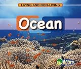 Oceans and Seas (Bodies of Water)