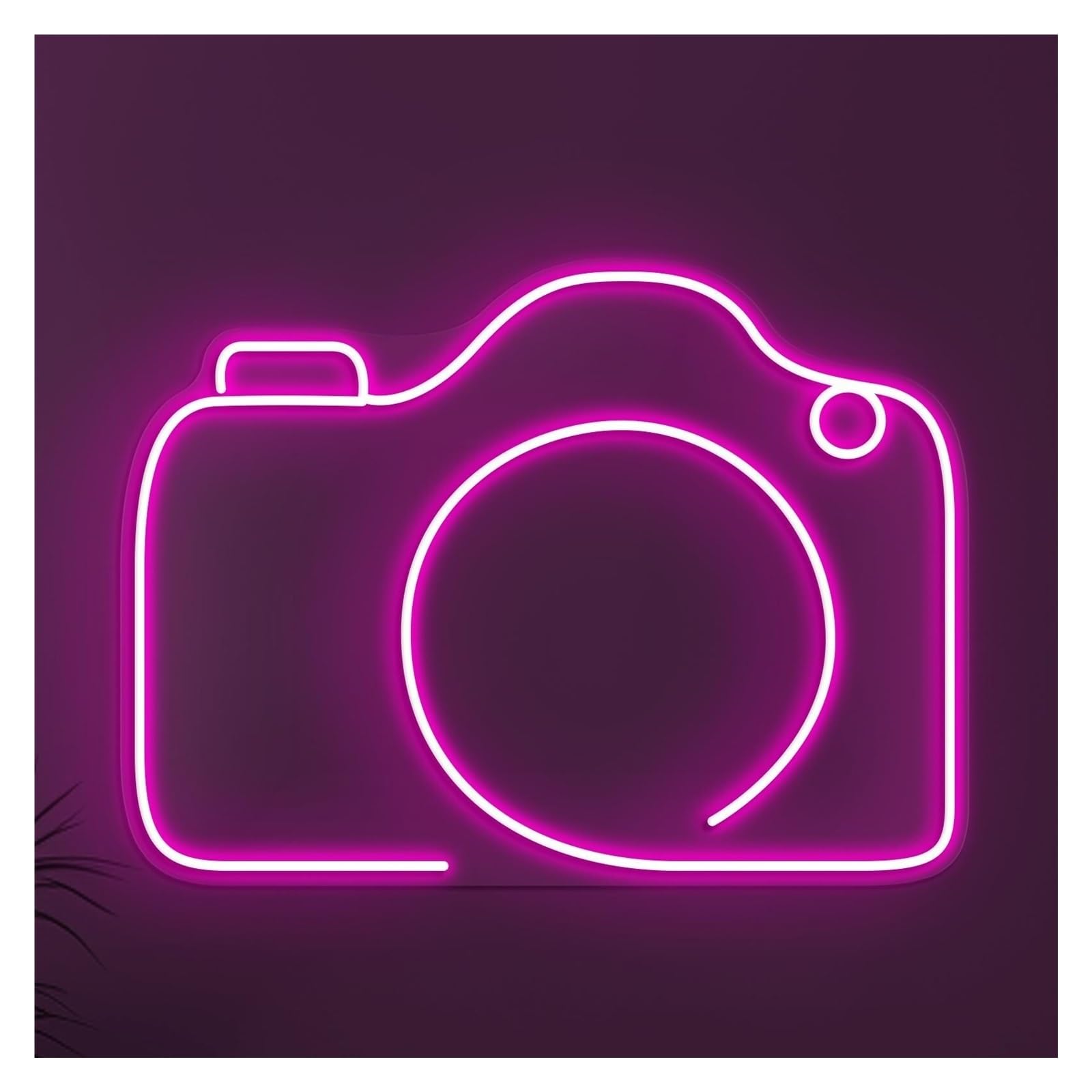 RONGCH Hanging Art Signs Camera Neon Sign Minimalist Design, Suitable for Photo Studio Decor with Brightness Adjustable 38cm