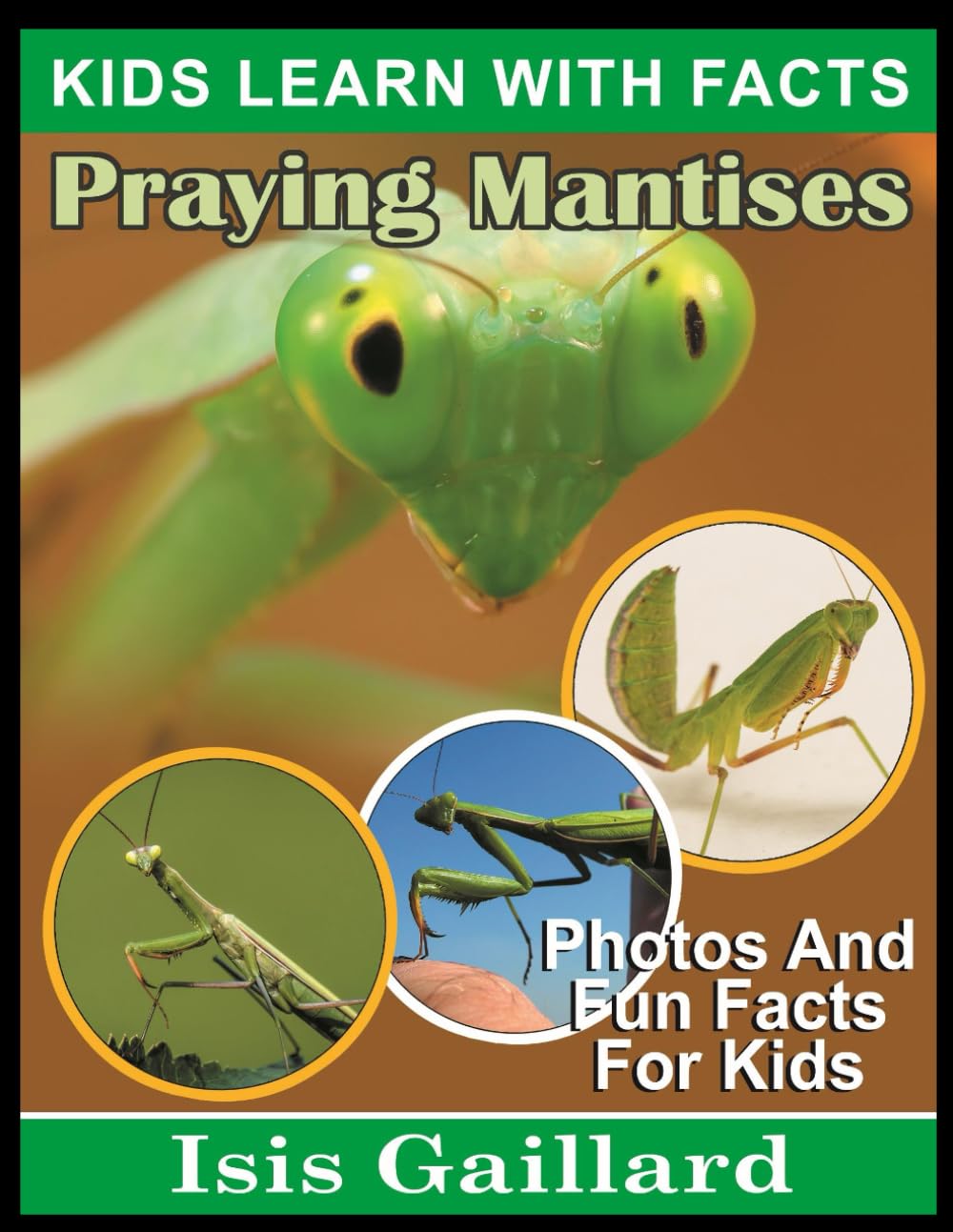 Praying Mantises: Photos and Fun Facts for Kids: 156 (Kids Learn With Pictures)