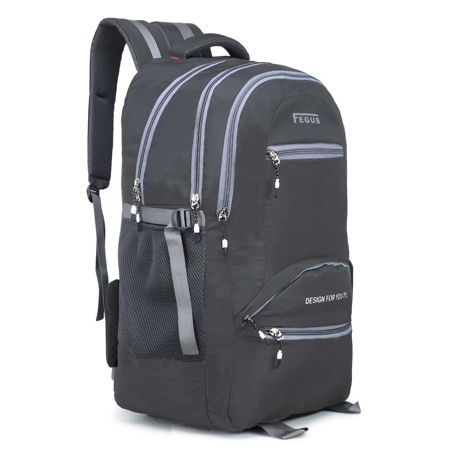 Elegant Design Casual I School I College and Travel Bag with Laptop Sleeve.-image-8
