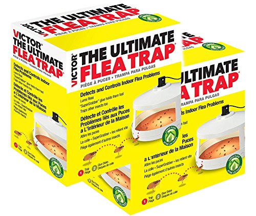 Victor M230A Ultimate Flea Trap (2)