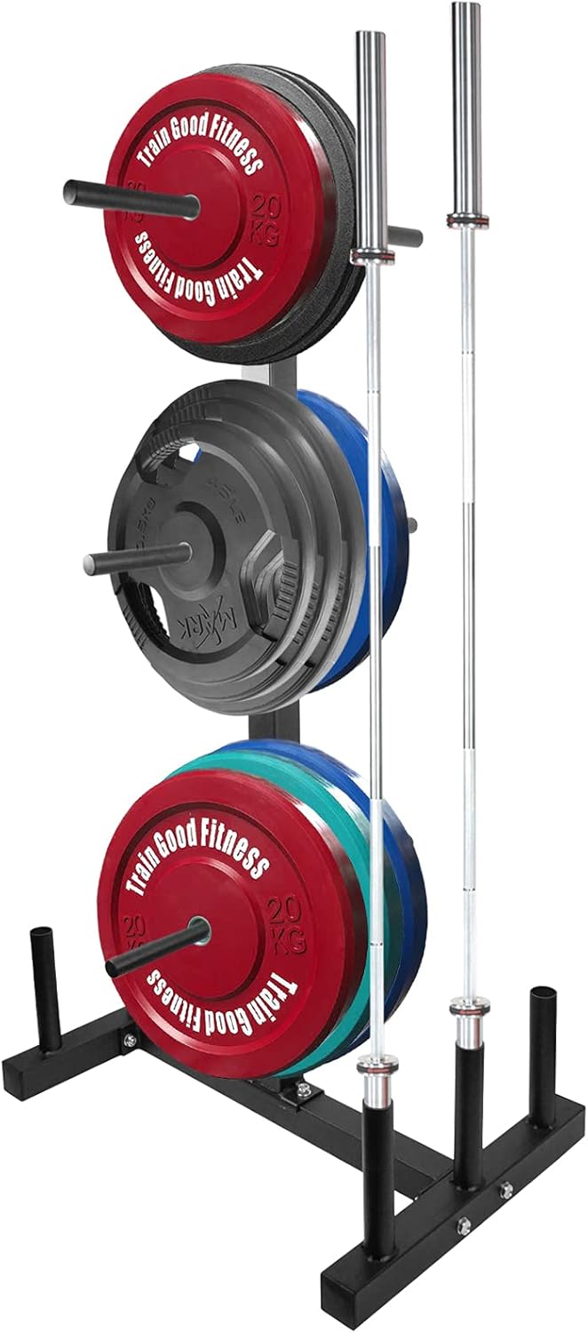 Luwint Plate Tree, 1 in Weight Plate Storage Rack with 6 Standard Bar Holders : Sports & Outdoors