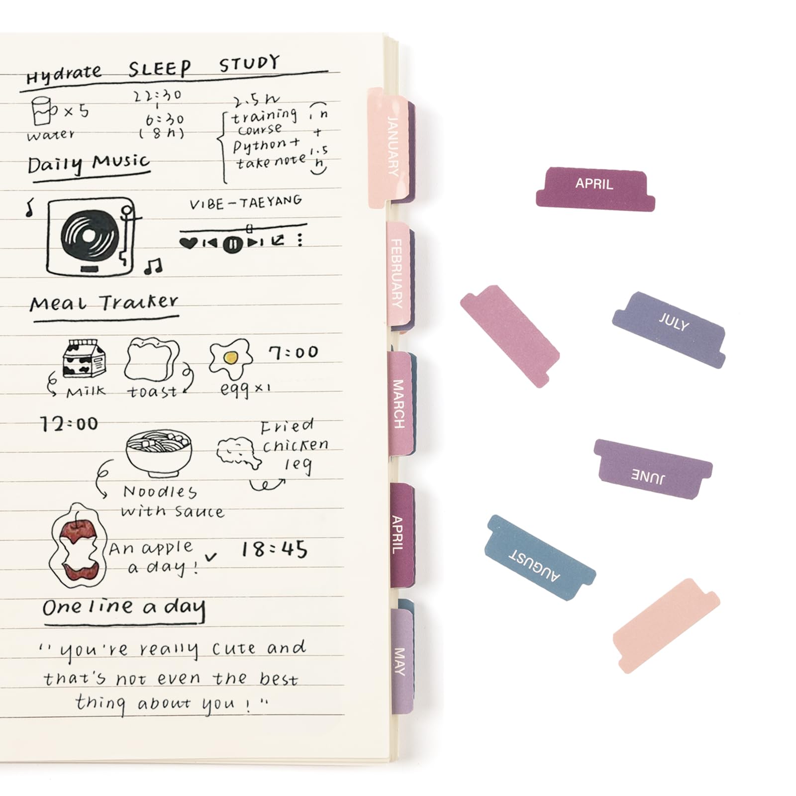 Lumintutu Laminated Planner Monthly Stickers,40 Adhesive Plan Tabs Accessories for Notebooks (2 Sets 12 Month Tabs and 16 Blank Tabs), Calendar