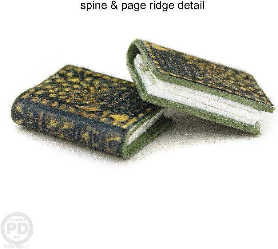 Pride and Prejudice Jane Austen First Edition Clay Mini Book Hypoallergenic Dangle Hook Earrings