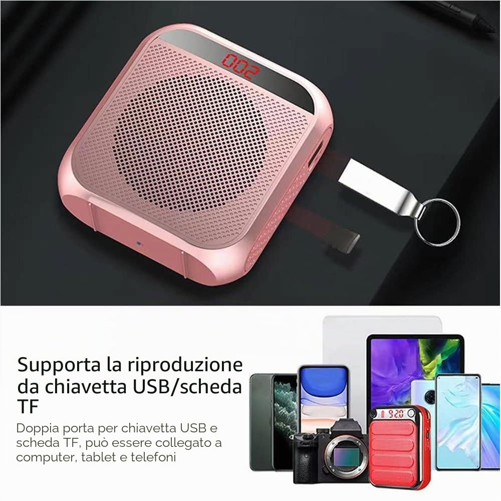 Amplificatore Vocale Portatile per Insegnanti, 2200mAh Ricaricabile con Cassa per Guida Turistica, Riunione, Yoga, Aula (Nero)