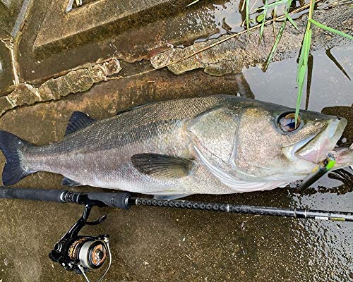 パズデザイン reed マッチボウ (MATCHBOW) 100F #003 ブラックピンク 4枚目