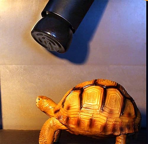 Miniatura 7 de Paquete de 2 bombillas de 25 vatios y 110 V para lámpara de calor para reptiles, base E26/E27, emisor de calor de cerámica infrarroja para mascotas,