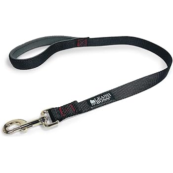 18 inch dog leash