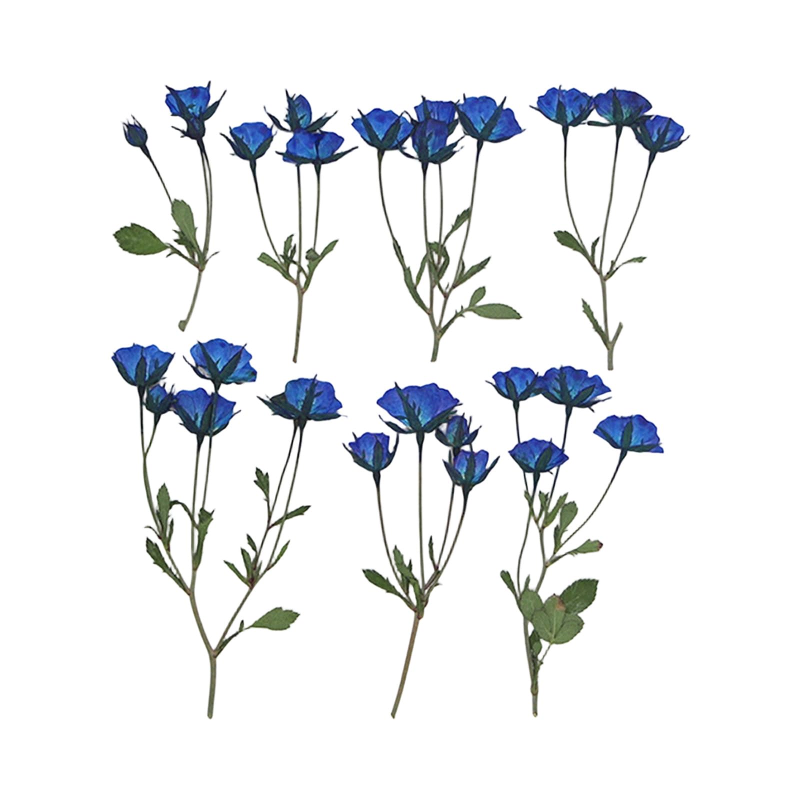 Oxxggkao 36Pcs Dried Flower Stems Pressed Plant Specimens for Home Decoration Romantics Table Centerpieces Dried Flower Arrangement