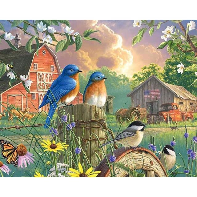 Amazon | 数字による絵画動物鳥キットアクリル絵の具キャンバス絵画家