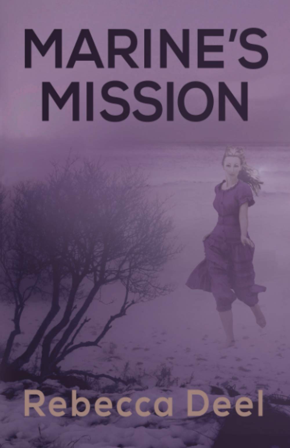 Marine's Mission (Maple Valley)