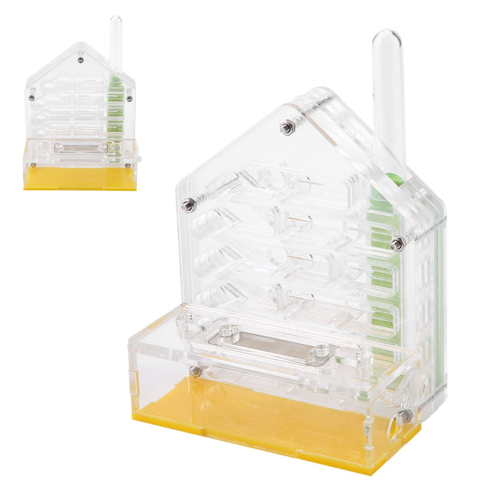Formicarium Nourriture pour Fourmis 12×11×8 Acrylic Farm The Farm is Alive