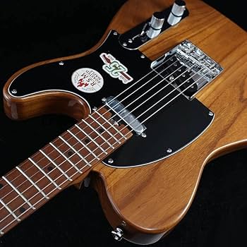 ギター Bacchus BTE-ASH25 WRS/M NA 162022.jpg