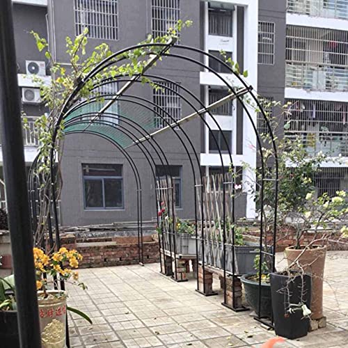 Aide à l'escalade pour rosier grimpant et arche de jardin - 8