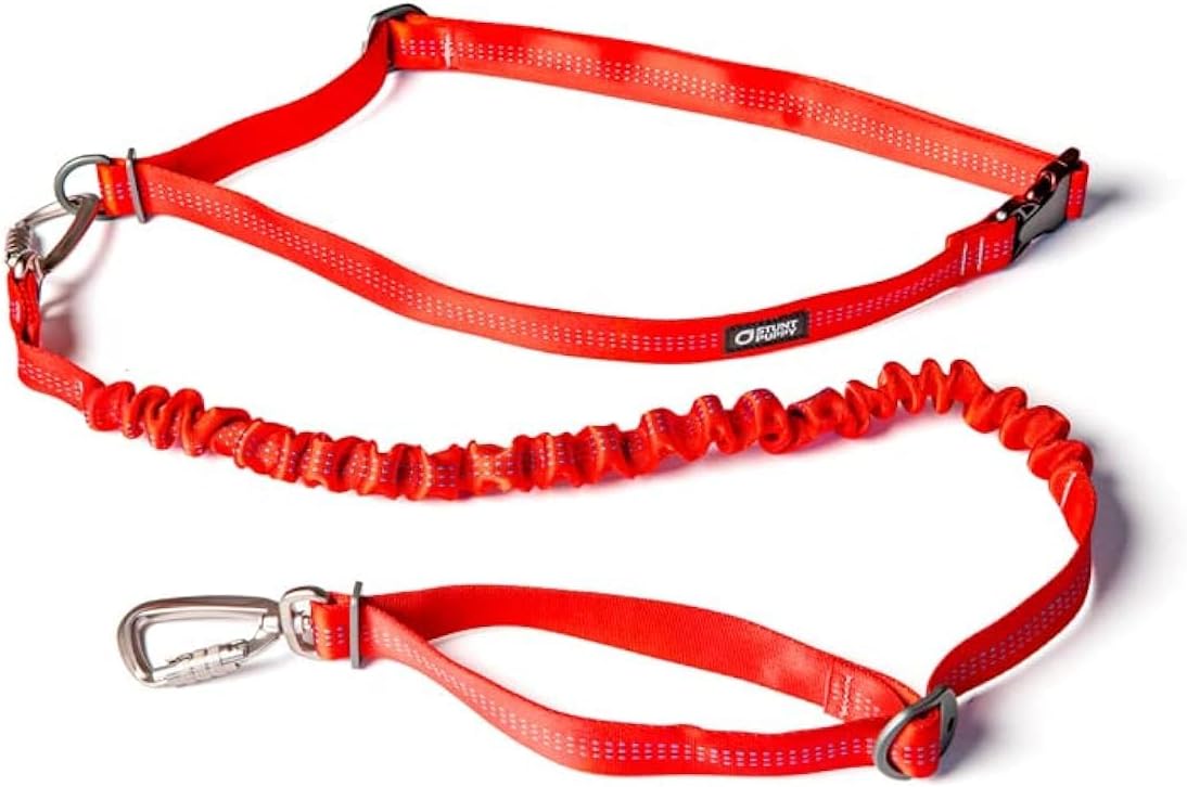 Stunt Puppy Stunt Runner Hands-Free Dog Leash, Pines Green