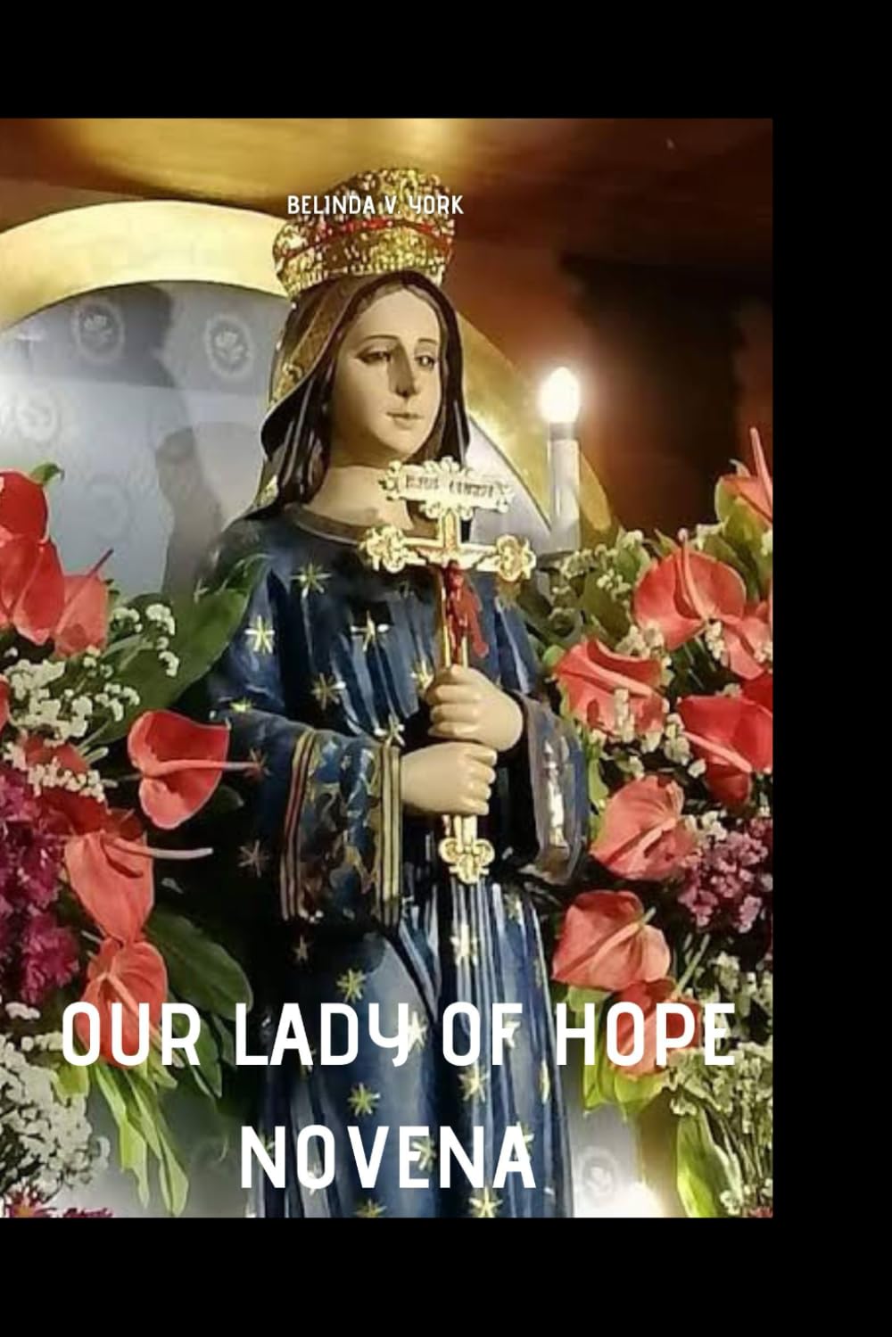 OUR LADY OF HOPE NOVENA: A Prayerful Surrender into the Care of Our Lady of Hope