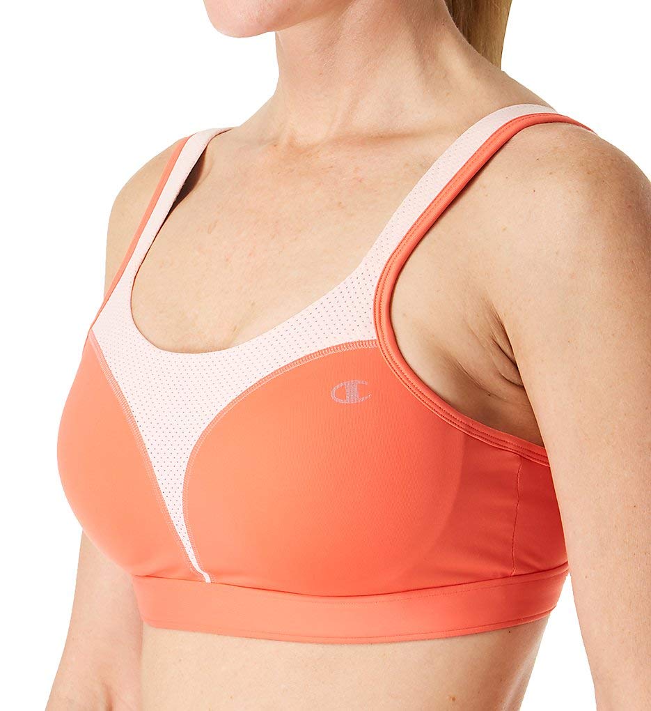 Champion Women's Spot Comfort Full Support Sports Bra (Retired Colors)
