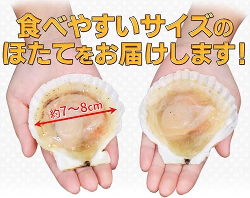 伊勢鳥羽志摩特産横丁 ほたて カンカン焼きセット 20枚入 冷凍ほたて 冷凍 北海道産 半缶入り(貝むきナイフ・片手用軍手付き) ほたて片貝 海鮮 バーベキューセット の商品画像 7