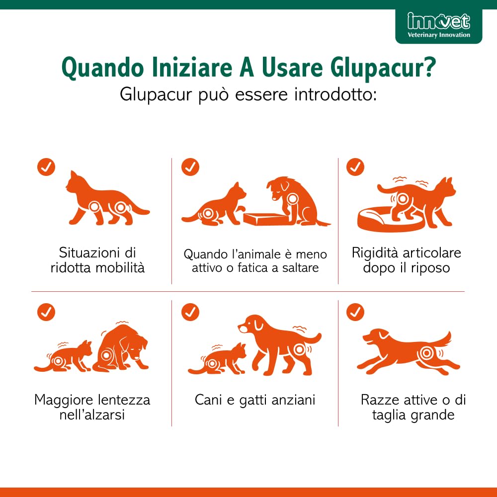 Glupacur Sollievo articolare per cani e gatti di tutte le età con PGA (Palmitoil-Glucosamina), Estratto di curcuma longa e Vitamina E – Alimento complementare – 30 compresse