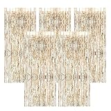 AIBAOBAO 5 Pezzi Tende Metalliche Tinsel 1x2 m, Tende di Tinsel, Tenda Frange, per Sfondo Fotografico di Festa Compleanno, Matrimonio, Fidanzamento, Addio al Nubilato, Decorazioni Capodanno 2026