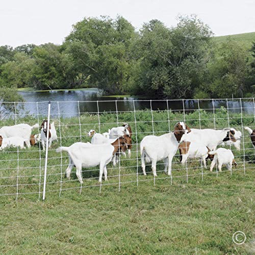 Miniatura 5 de Premier 1 ElectroFence+ Kit de inicio  Valla de red eléctrica blancanegra  48 pulgadas de alto x 100 pies de largo, incluye Energizador solar,
