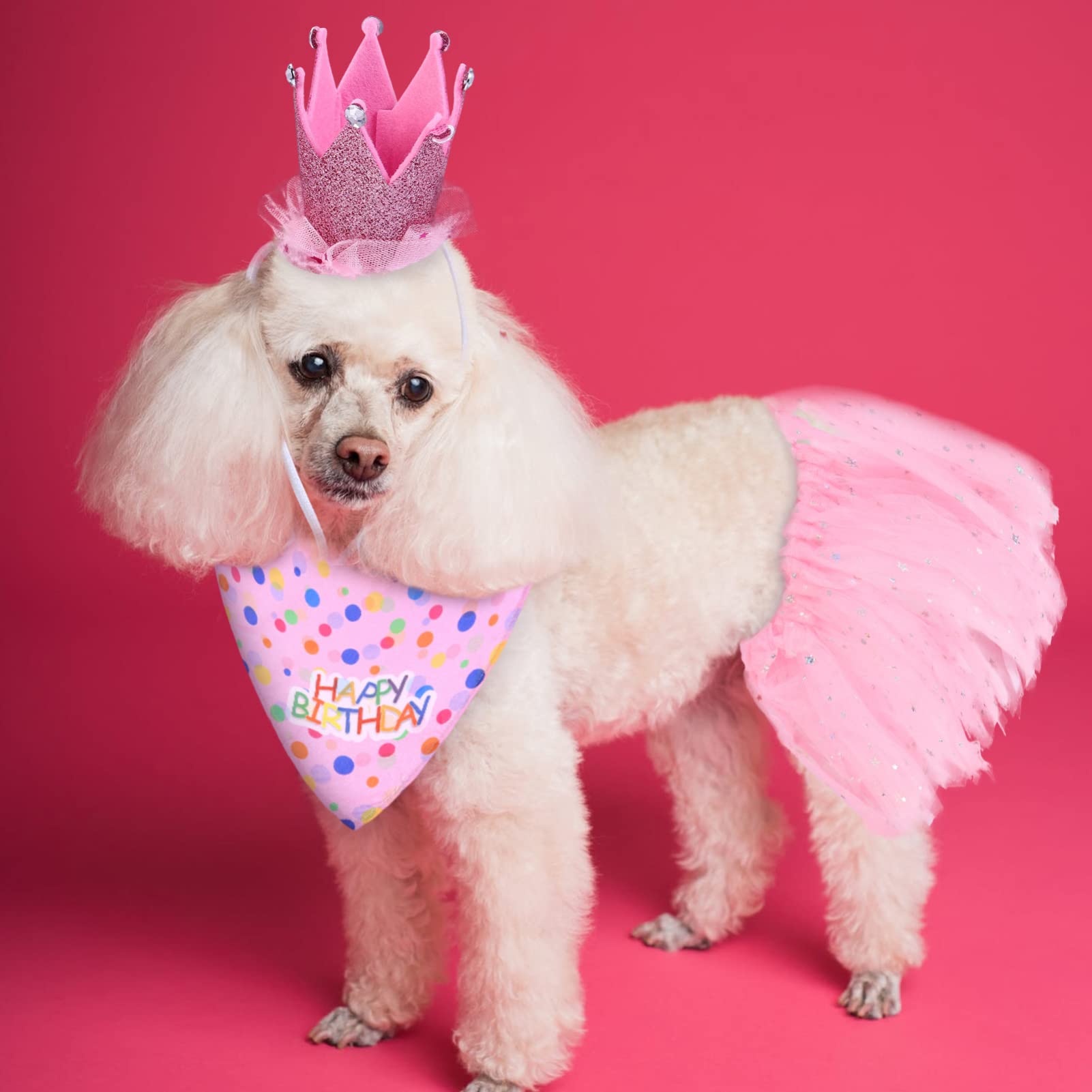 POPETPOP 9pièces Costume Anniversaire pour Chien Ensemble avec Chapeau Jupe Et Bandana pour Fête Anniversaire