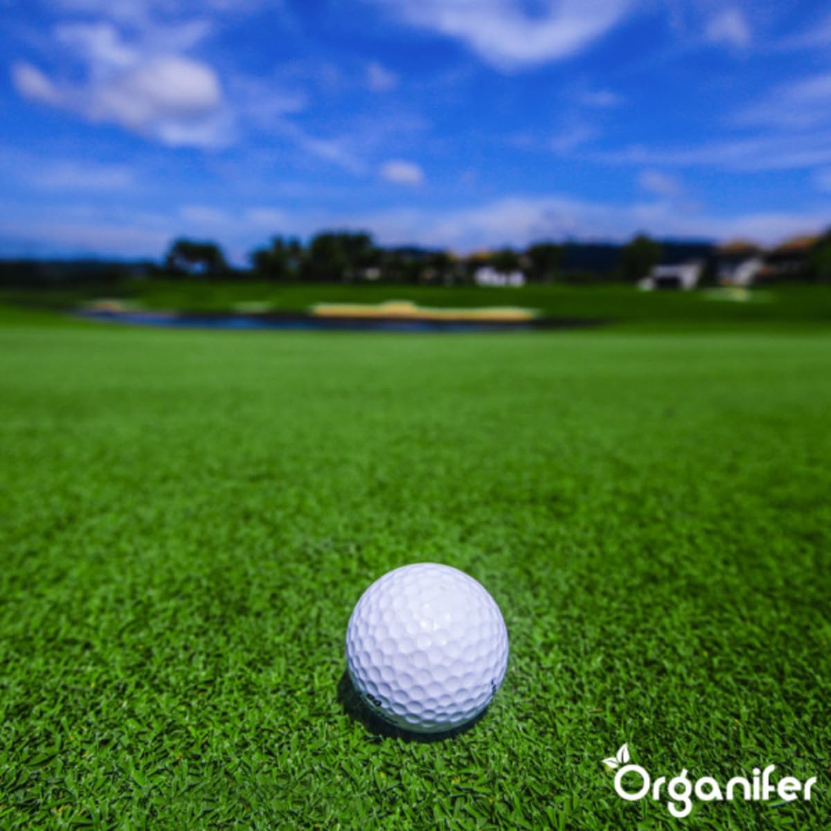 Engrais Pro Turf & Lawn (20 Kg - 665 M2) - Spécialement Pour Grandes Pelouses - Terrains De Sport Et Terrains De Golf - Libération Progressive - Npk+Mg+S (20+5+8 +4 +9) - Organifer