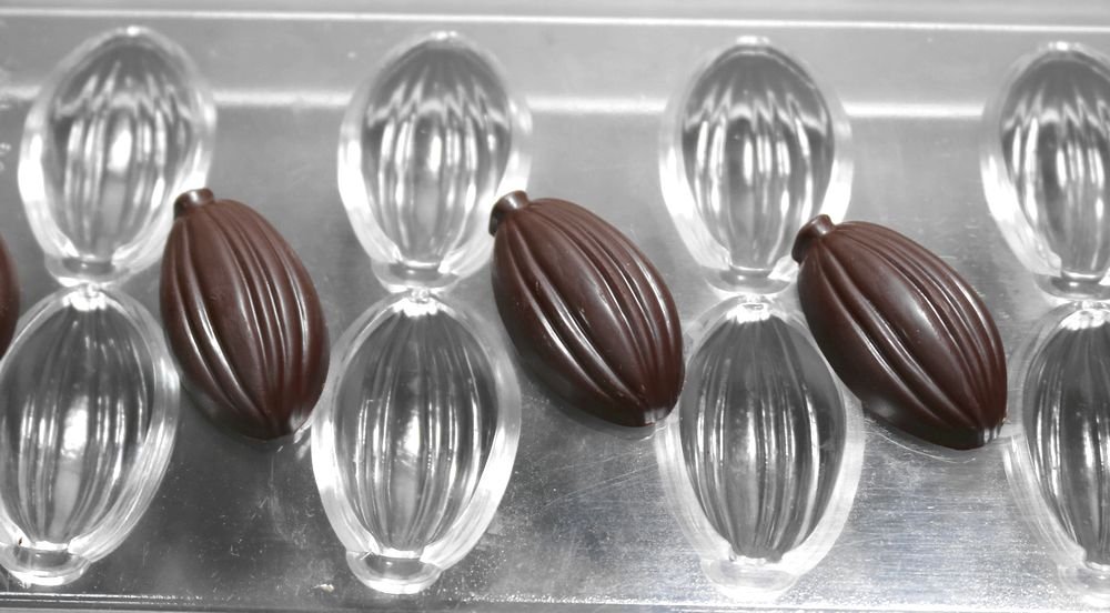 CACAO BARRY チョコレートモールド8個セット Amazon.co.jp: PC使用チョコレートモールド（カカオモールド8個取り