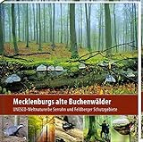 Mecklenburgs alte Buchenwälder (2. Aufl.): UNESCO-Weltnaturerbe Serrahn und Feldberger Schutzgebiete