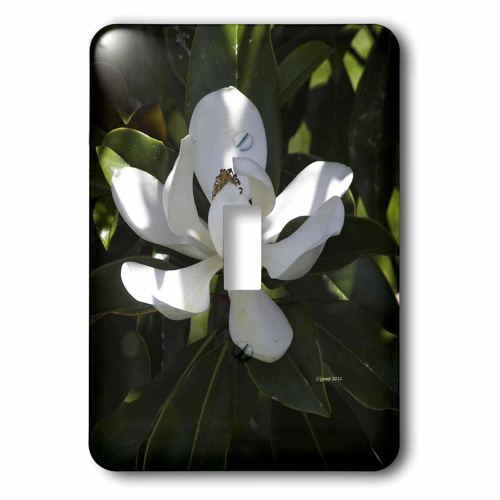 Interrupteur à bascule lsp_22225_1 Magnolia décoration murale plastique multicolore