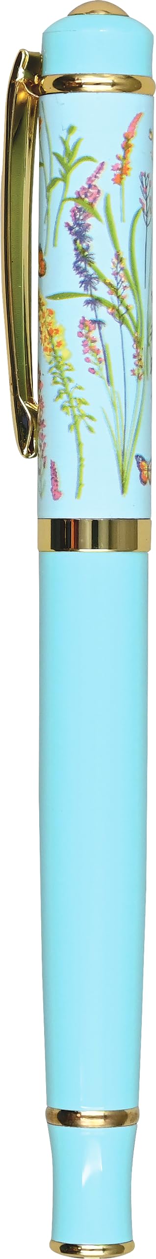 Stylo plume rechargeable avec convertisseur pour calligraphie et dessin