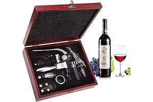 Wine Opener Kit: A Sophisticated Experience in Wine Tasting