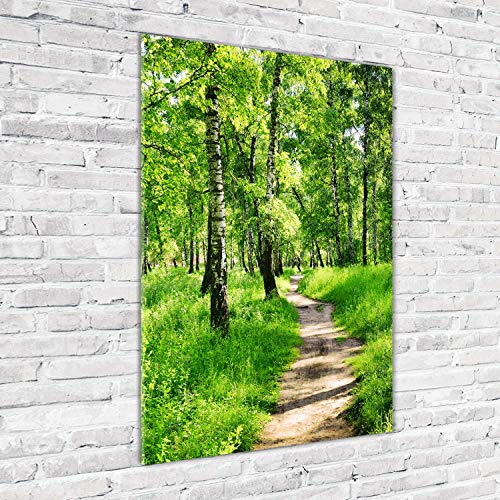 Image tableau photo décorative forêt de bouleaux vert 70x100 - 3