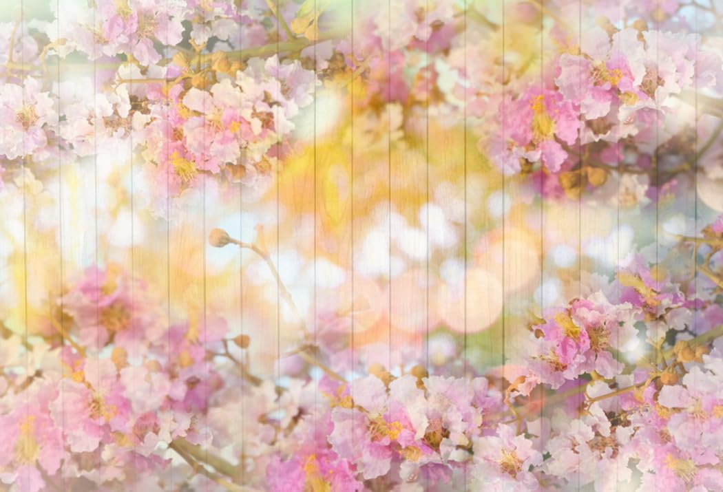 AOFOTO 5x3ft Pink Floral Wood Backdrops Spring Blossom Flowers Wooden Wall Valentines Day Decoration Wallpaper Photography Background Newborn Kids