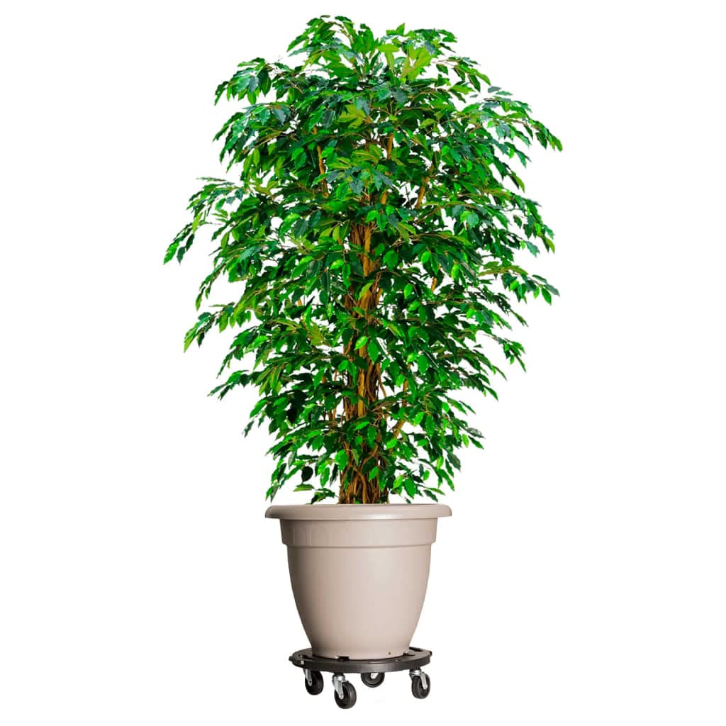 Lot de 5 roulettes pour plantes de 40 cm de diamètre, noir, capacité de charge de 275 kg, en polypropylène et acier, roulettes à 360 degrés, pour balcon, terrasse, jardin, salon, intérieur et
