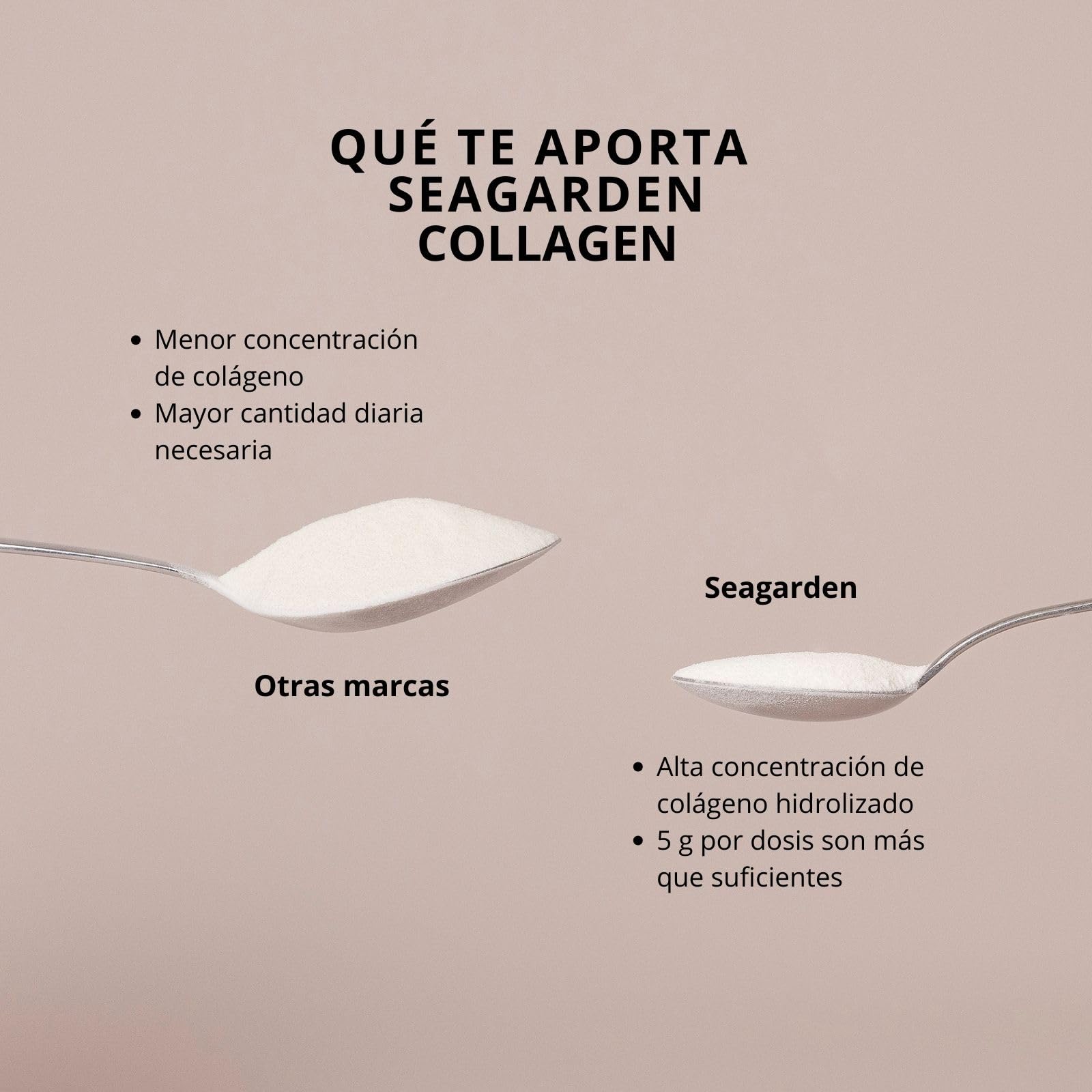 Seagarden Polvo de Colágeno Marino Puro 100% Noruego - Colágeno Hidrolizado Tipo I de Bacalao Ártico Salvaje, Para Piel, Cabello, Uñas, Tendones, Músculos - 300 g (2 Meses, Sin Sabor)