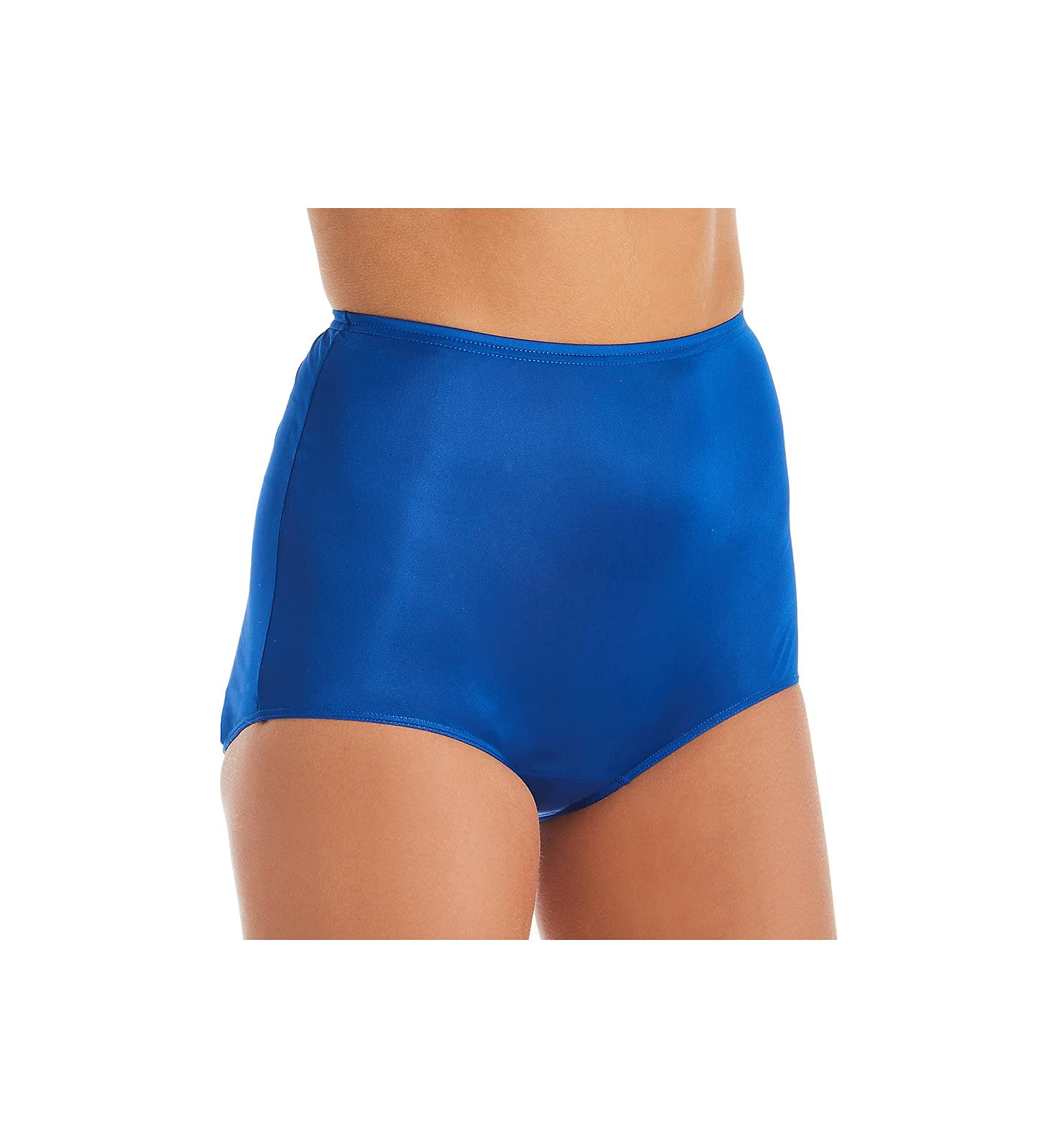 ShadowlineHidden Elastic Nylon Classic Brief Panty (17032)