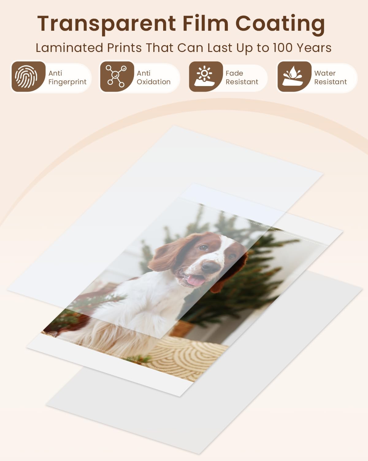 Compatible Canon Selphy CP1500 CP1300 Paper and Ink, KP-108IN 3 Color Ink Cartridges and108 Sheets 4x6 Photo Paper 3xKP-36IP for Selphy CP1200 CP910 CP800 CP780 CP740 Compact Photo Printers