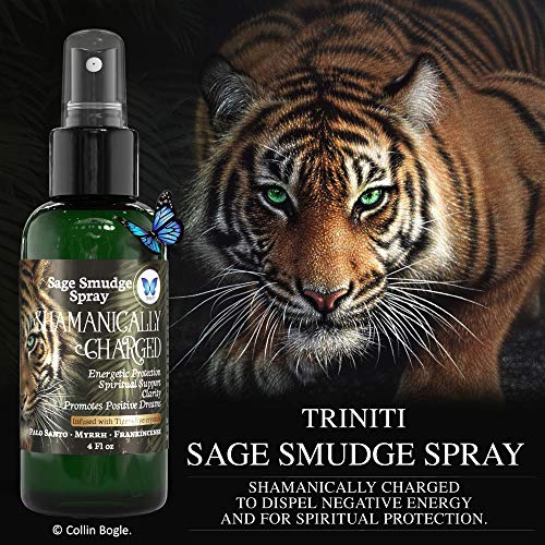 Blue Morpho Triniti Palo Santo Sage Smudge Spray - Negative Energy Cleansing Protection Spray With Tiger’s Eye Crystals #TOP3