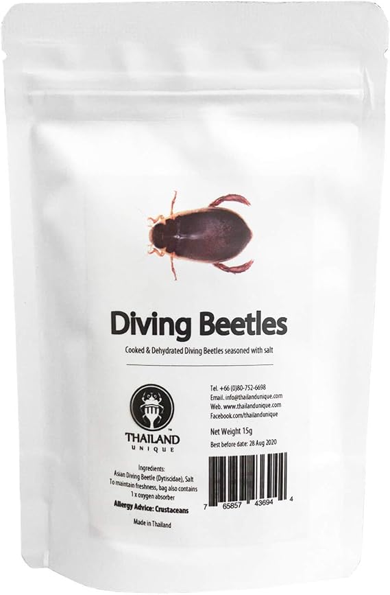 ガムシの幼虫 くーまるウォッチング