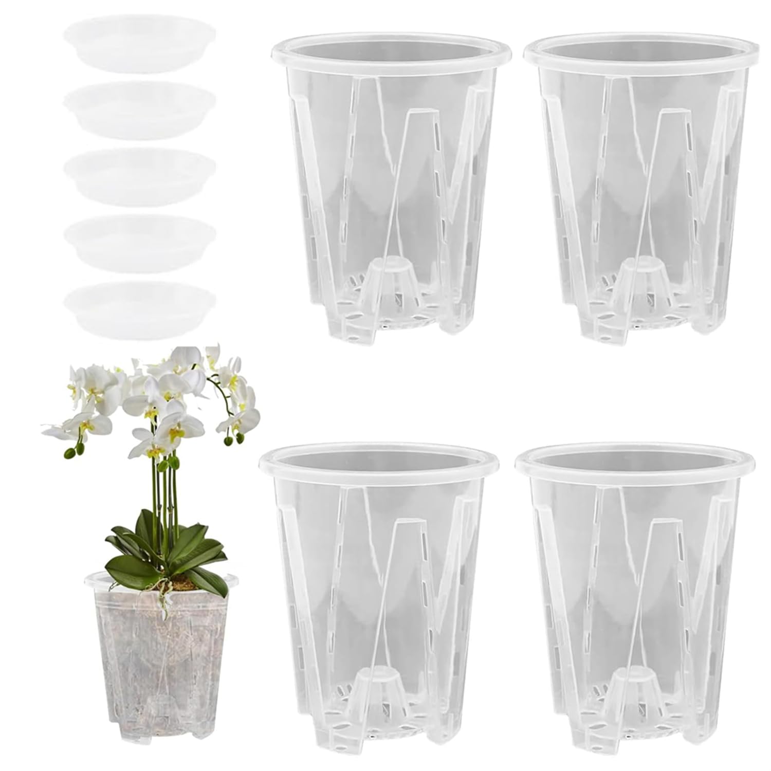 Transparente Ubertopfe Fur Orchideen