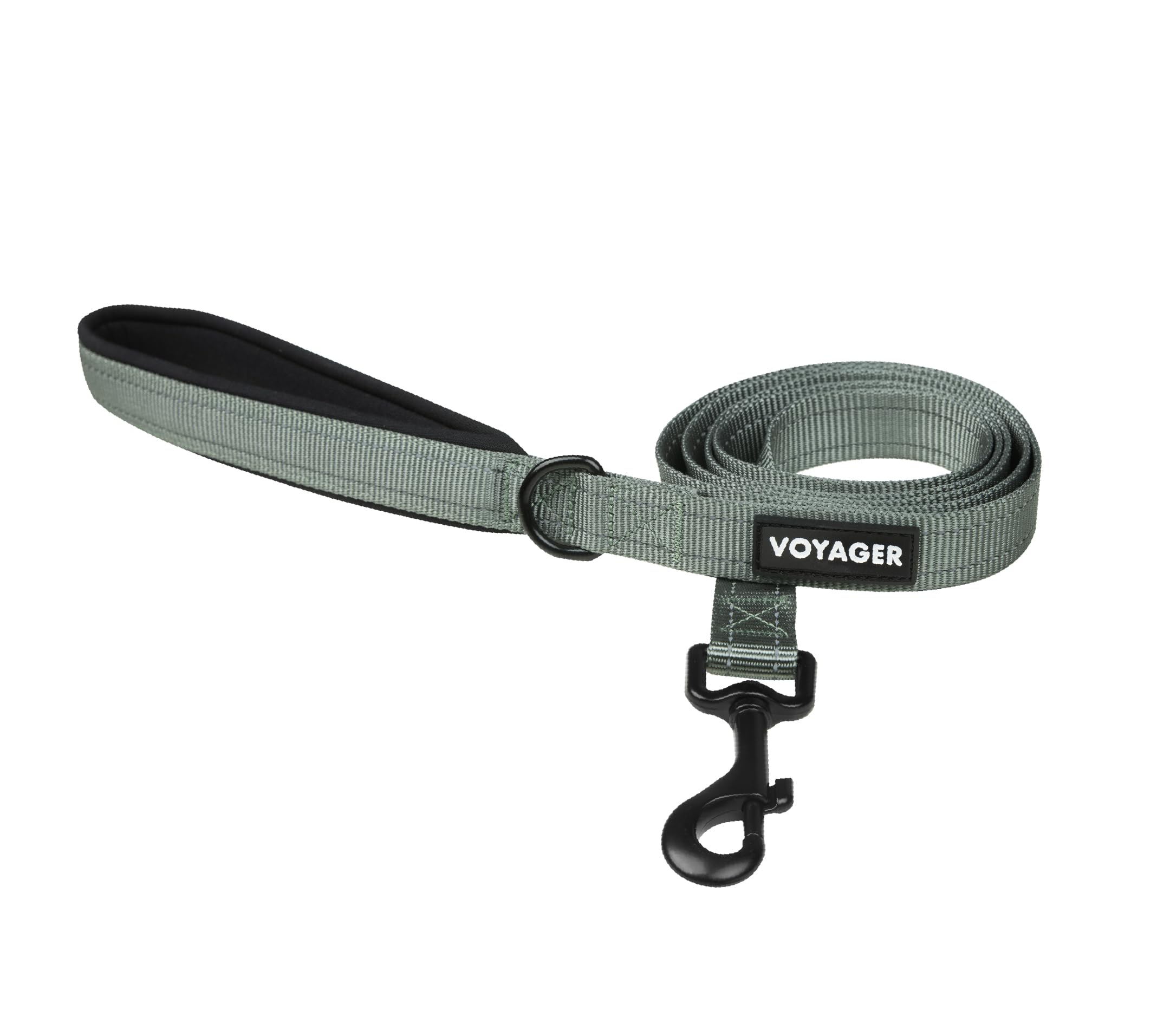 Best Pet Supplies Voyager Reflective Dog Leash or Collar with Neoprene Handle, for Small, Medium, and Large Breed Puppies, Cute and Heavy Duty for Walking, Running and Training - Moss Green (Leash), S