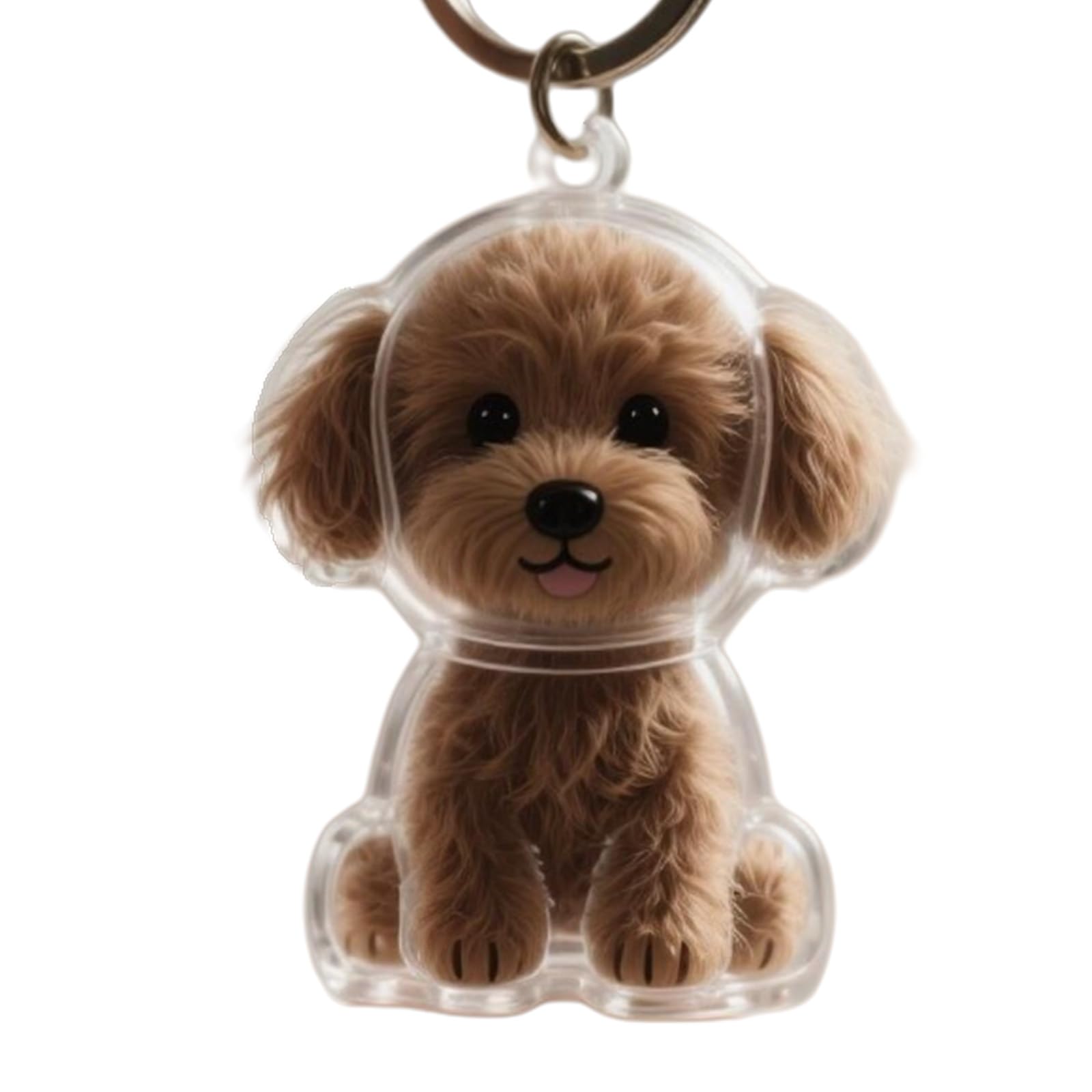 Amazon.co.jp: [AOSAIXIS] 1ピースキーホルダー、ペットの毛の記念品