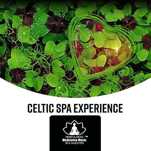 Celtic Spa Experience Irish Flute, Celtic Harp for Meditation
