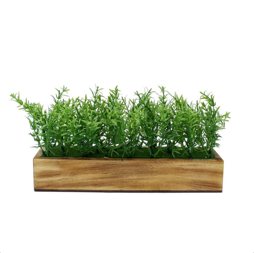 DecoreBugs Artificial Plant Spery Grass in Rectangular Wooden Tray for Home Decor, Fake Indoor Green Plant for Decoration of Office, Living Room, Desk, Showcase or Table (B08BCL1124) Amazon Price History, Amazon Price Tracker