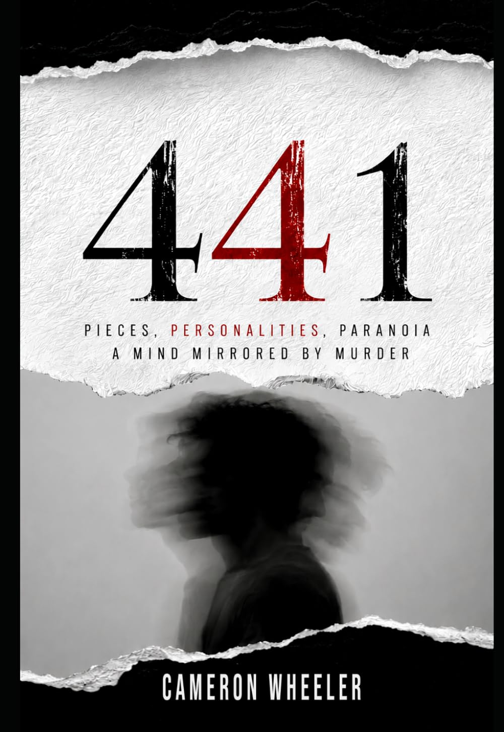 441: A Psychological Thriller About Identity, Obsession and the Darkness Within