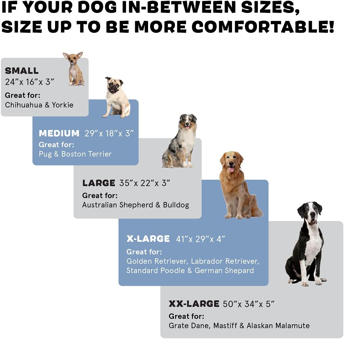 Buy Barkbox Memory Foam Platform Dog Bed Plush Mattress For Orthopedic Joint Relief Machine Washable Cuddler With Removable Cover And Water Resistant Lining Includes Squeaker Toy Online In Indonesia B07f1bk675