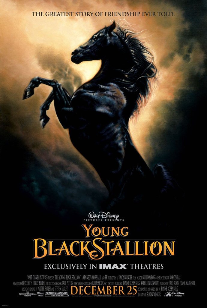Amazon.com: Movie Poster Young Black Stallion 2 Sided Original