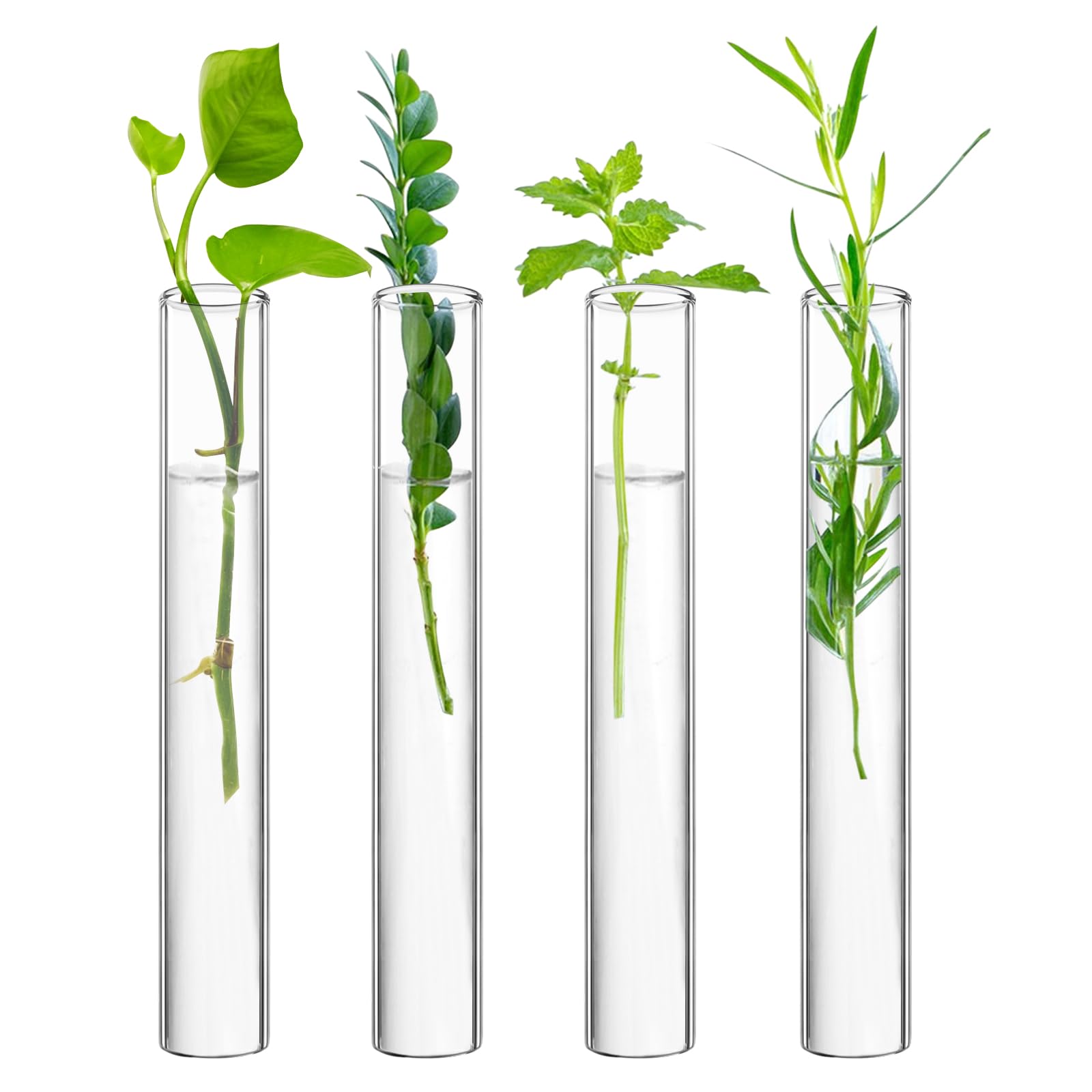 XXXFLOWER Glass Propagation Stations Accessories Glass Test Tubes Tiered Planters Wall Terrarium for Home Office Plant Hanger Flower Vases Wall Decor Hydroponic Cuttings Clear-4 Tube Vases